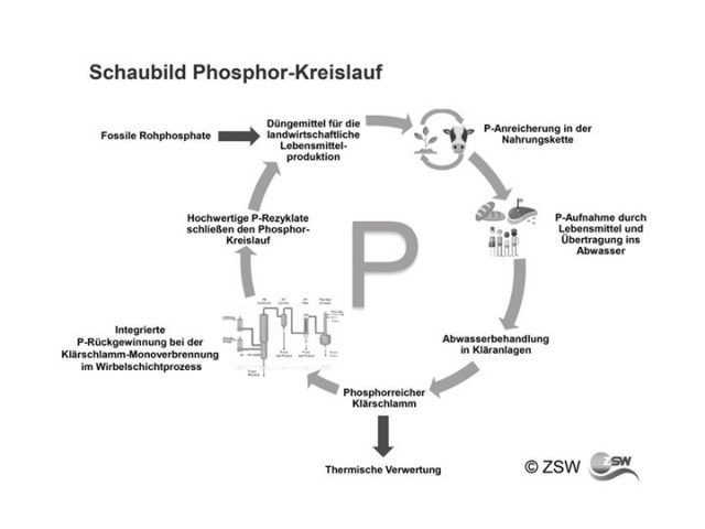Schaubild-Kreislaufführung-Phosphor-kleinl